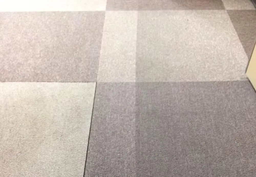 カーペットクリーニング