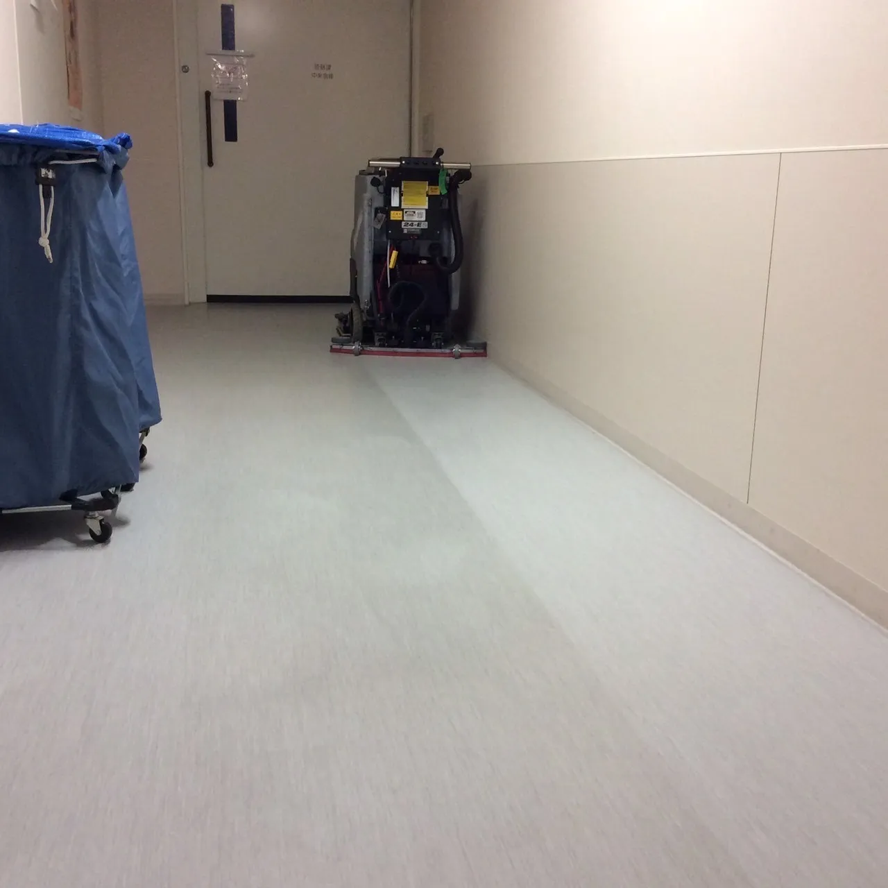 カーペットクリーニング