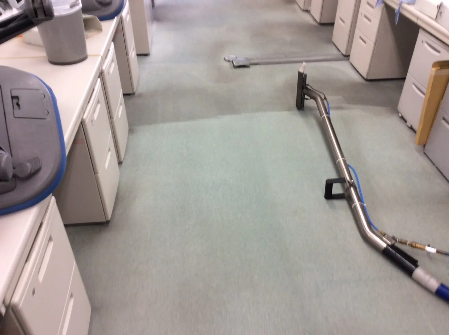 カーペットクリーニング