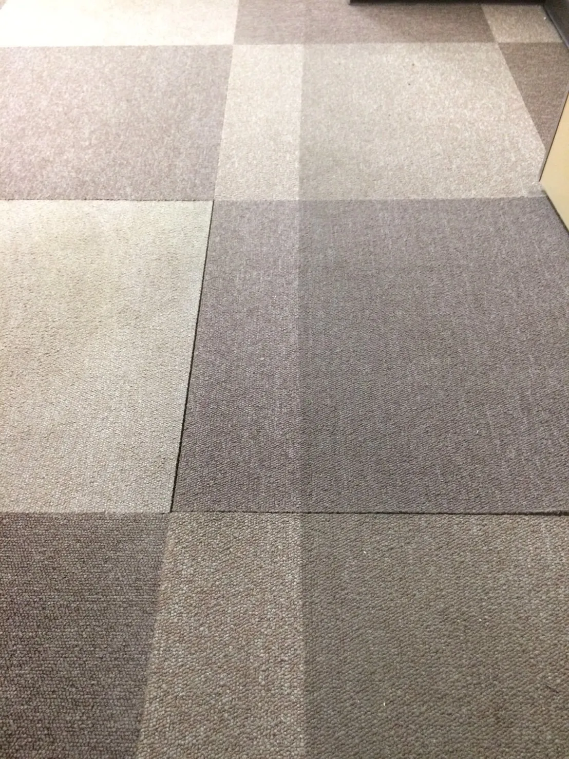 カーペットクリーニング